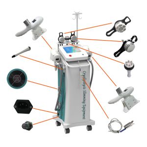 Coolsculpting Cryolipolysis Slimming Machine For salon and spa