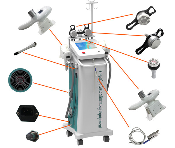 Buy Coolsculpting Cryolipolysis Slimming Machine For salon and spa at wholesale prices