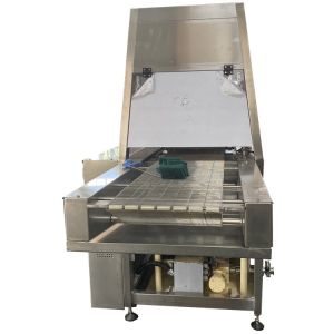1800kg Chocolate Enrobing Machine