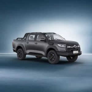 China Great Wall Poer All Electric Trucks EV 150kw Motor 5 Seats For Transportation on sale