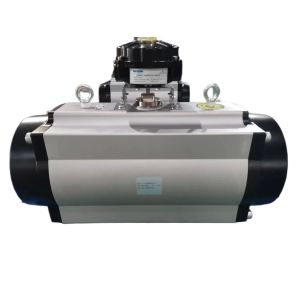 Pneumatic Rack and Pinion Actuator with High Temp Viton Seals Silicone Seals and