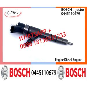 BOSCH 0445110463 0445110464 0445110577 0445110679 0445110576 Common Rail Fuel