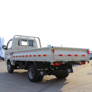 Futian Ruiwo Xiaojingang Commercial Vehicle Truck Dump Pickup Truck Gasoline
