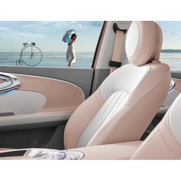 Pure EV Car ORA Ballet Cat with Fast Charging and Consumption 5 Seats 225/55/R18 Tyre Size