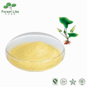 Hot Selling 98% Natural Kaempferol Powder Free Sample