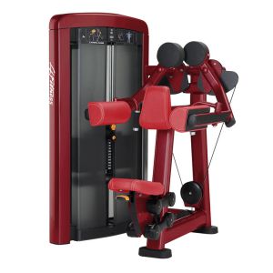China Commercial Heavy Duty Gym Machine Shoulder Lateral Raise Fitness Equipment on sale