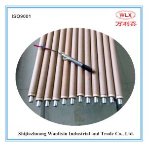 Quality Disposable Immersion Thermocouple for Molten Steel/Iron Temperature Measure for sale