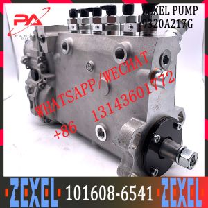 ME442589 Diesel Engine Fuel Injection Pump Assembly F019Z20029 101608-6541