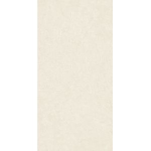 600x1200mm Indoor Porcelain Tiles AAA Grade Clay ISO13006