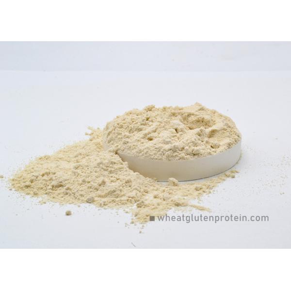 Buy 232-317-7 Dried Wheat Gluten For Feed Manufacturing at wholesale prices