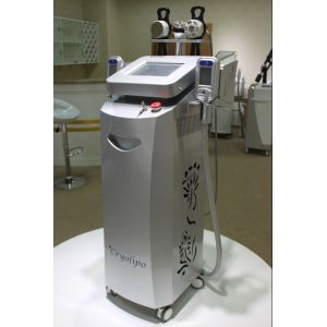 Hottest cryolipolysis for beauty salon use / cryolipolysis body sculpting