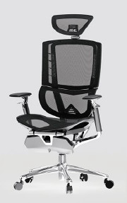 Flash Ergonomic Task Mesh Office Chair Swivel High Back Black