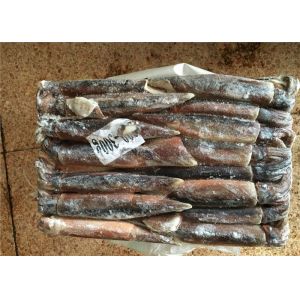 Light Catch Method A Grade BQF 300G Fresh Frozen Squid