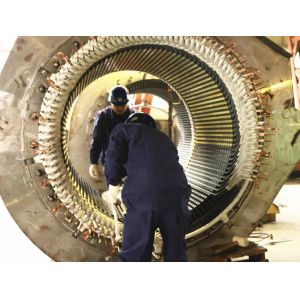 Customized Air Cooled Water Turbine Generator with Stainless Steel Runner 450