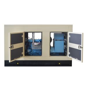 Silent natural gas generator soundproof biogas generator