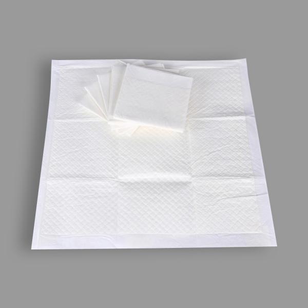 Buy Pet  Training Sleeping 3045 4060 square Disposable Mattress Pads at wholesale prices