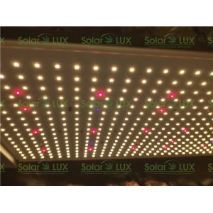 UV 395nm IR 730nm Red 660nm 240w 2x2 Led Grow Light