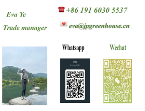 Aluminum Alloy Tomato Farming Tunnel Greenhouse 8*30m Anodizing