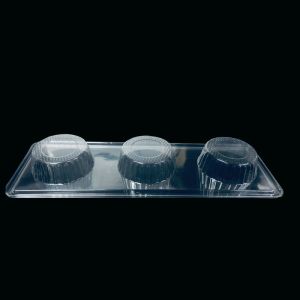 Custom Food Grade PET Plastic Blister Tray with Multi Compartment Divider Design