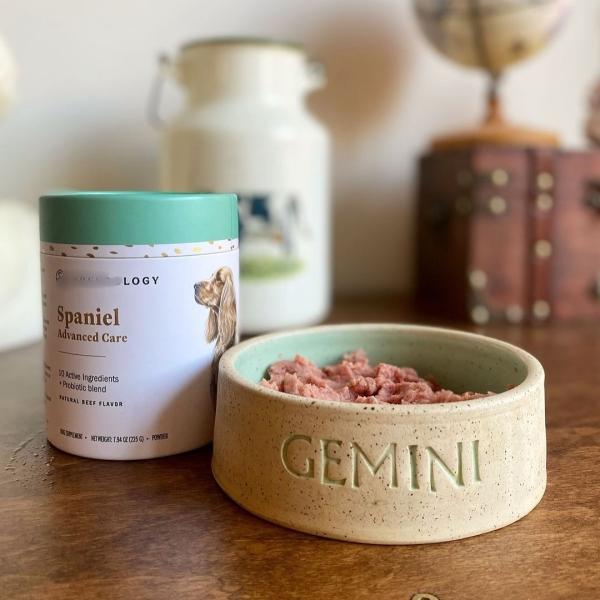 Buy Eco Friendly Food Grade Kraft Paper Plastic Composite Tube Waterproof PET Dog Cat Treats Packaging for Candy Chocolate Snacks at wholesale prices