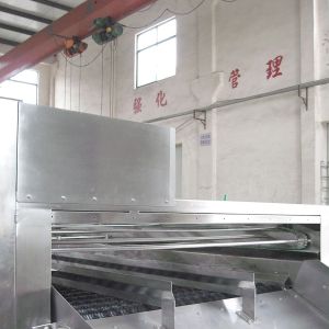 Industrial fruit washing machine high efficiency fruit and vegetable clapboard