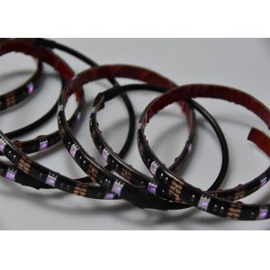 Black IP65 5050 30lamp/M Google Assistant Led Strip