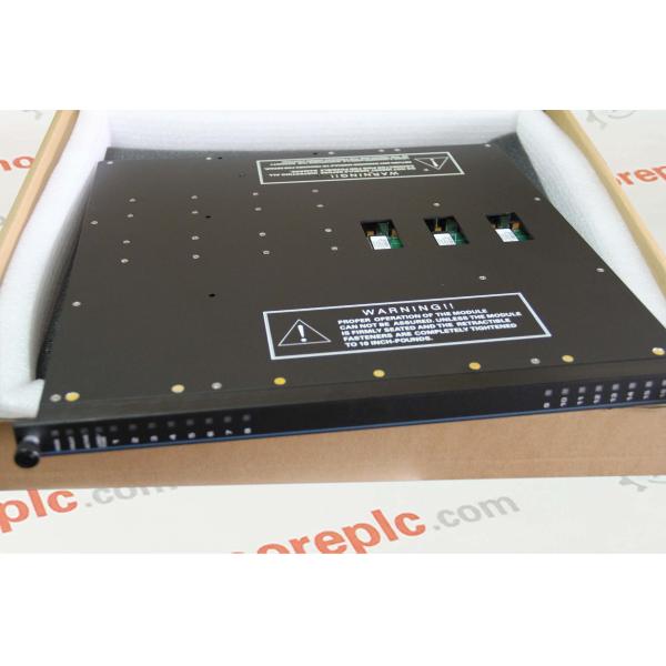 0.33 lbs Triconex DCS Module 8312 Manufactured by EBM PAPST PAPST Reasonable