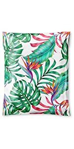 Bird of Paradise mailer