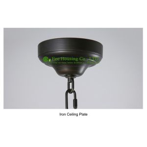 Crystal Ceiling lamp suspended ceiling lighting interior Bridcage chandeliers &