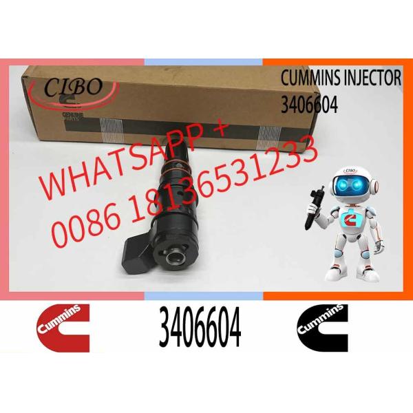 PT Fuel System Diesel Fuel Injector 3406604 For Cummins Construction Engine M11-C350 3