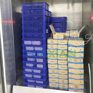 4 Pallet New Vacuum System Fresh Vegetable and Fruit Cooling Refrigerator