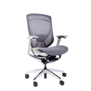 IFIT Black Ergonomic Desk Chair With Lumbar Support Adjustable Tilting Mesh