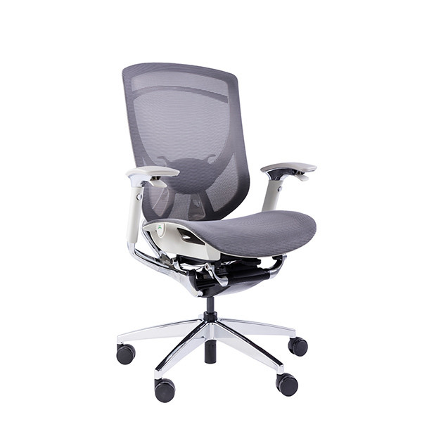 IFIT Black Ergonomic Desk Chair With Lumbar Support Adjustable Tilting Mesh