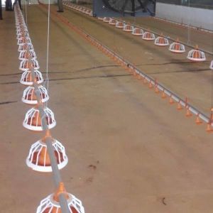 220V 50Hz Automatic Broiler Feeding System 2.2KW Stainless Steel