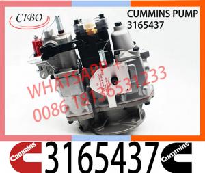 China GCY290 JY-400 Rail Car Parts NTC-290 NT855-C280 Engine Parts Fuel Pump 3655215 3165437 on sale