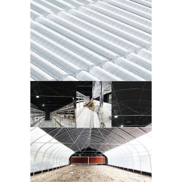 130 Micro Black And White Panda Film