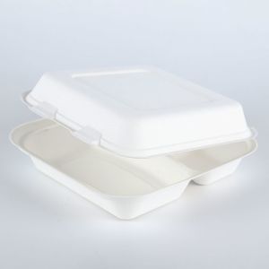 Disposable Food Packaging Pulp Sushi Biodegradable Tableware of Sugarcane