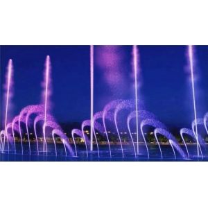 Charming garden product veena instrumental music fountain controller