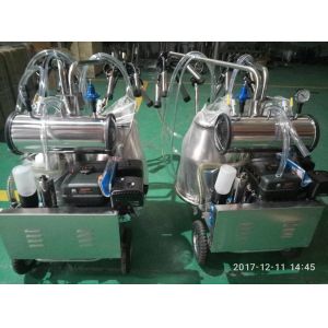 China HL-JN08 Cow Portable Petrol Milking Machine with 25L Double Bucket on sale