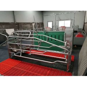 Steel Pipe 4 Foot Hot Dip Galvanized Steel Farrowing Box