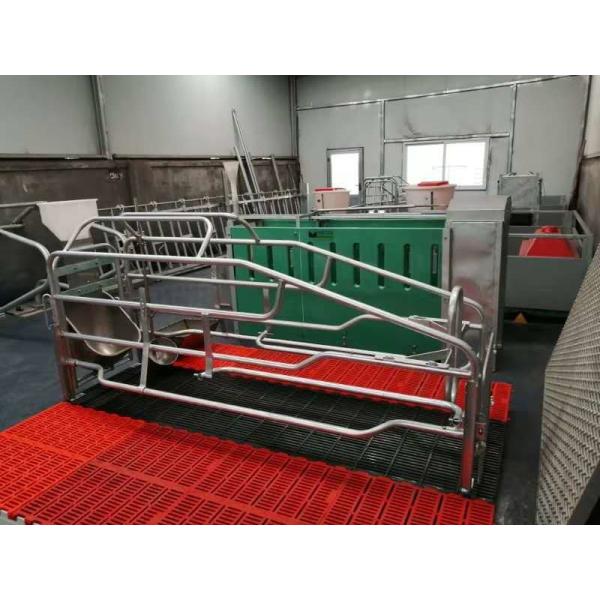 Buy Adjustable Pig Farrowing Crate at wholesale prices