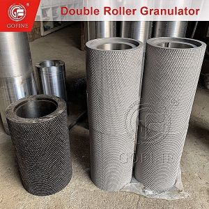300x150mm Double Roller Press Granulating Machine For Natural Temperature