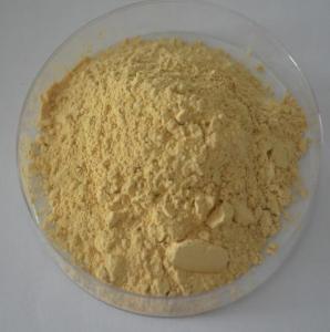 Quality 100% natural Panax Ginseng Extract Ginsenosides 20% -80% UV,CAS Number :41753-43-9 for sale