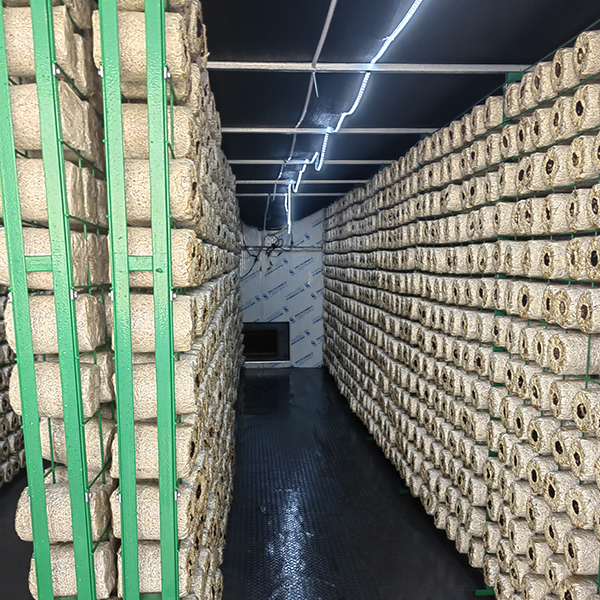 Buy Mushroom Growing Multi Layer Greenhouse Insulation Board Mushroom Growing Kit at wholesale prices