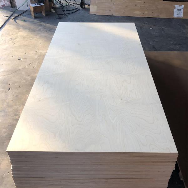 Top Sale Russian Baltic Birch Plywood E0 6mm 9mm 12mm 15mm 18mm 24mm Full Birch 1220*2440mm Plywood Sheet
