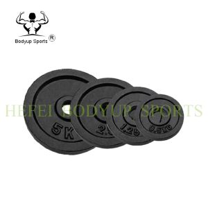 China Multi Weight Bodybuilding Weight Plates , Natural Rubber Coated Barbell Plates on sale