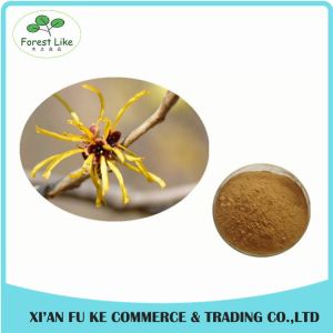 Superior Quality Featured Product 5%-98%Chlorogenic Acid Honeysuckle Flower