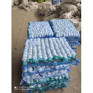 Natural Prepacks Fresh normal white garlic Pure White Garlic