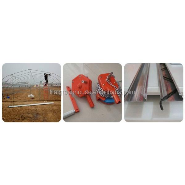 Film Covered Agricultural Tunnel Greenhouse for Growing Vegetables Fruits and Flowers