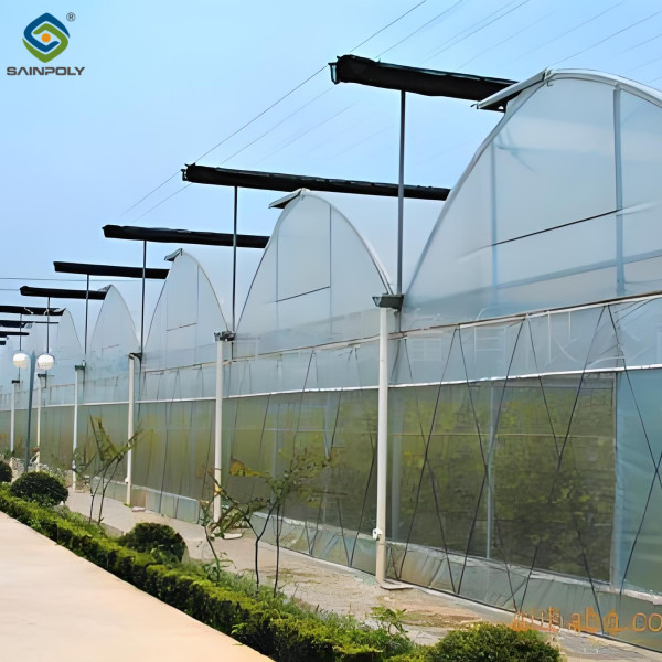 Buy Agricultural Multi Span Poly Film Greenhouse Stable Hydroponic Growing Systems at wholesale prices